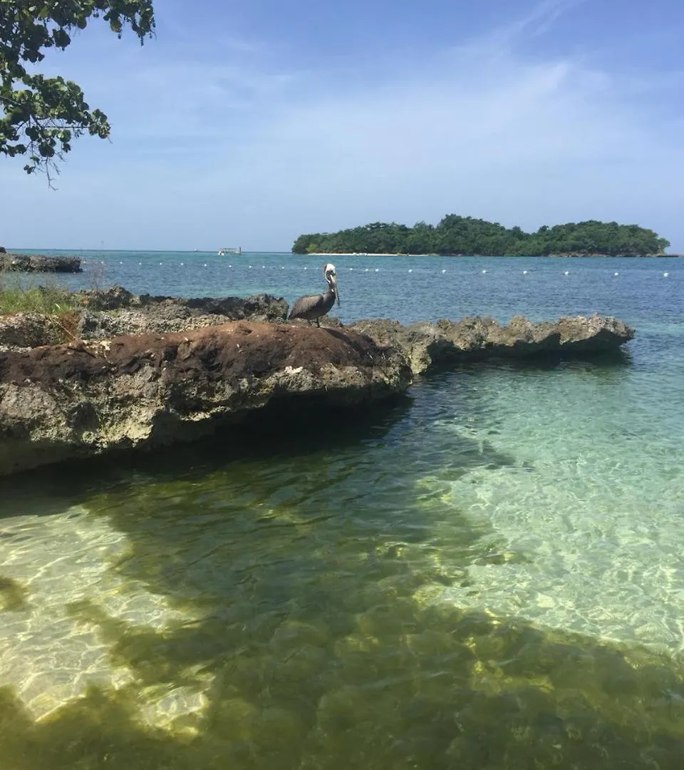 Appartement 1 Bed Condo Ocean View Negril Jamaica