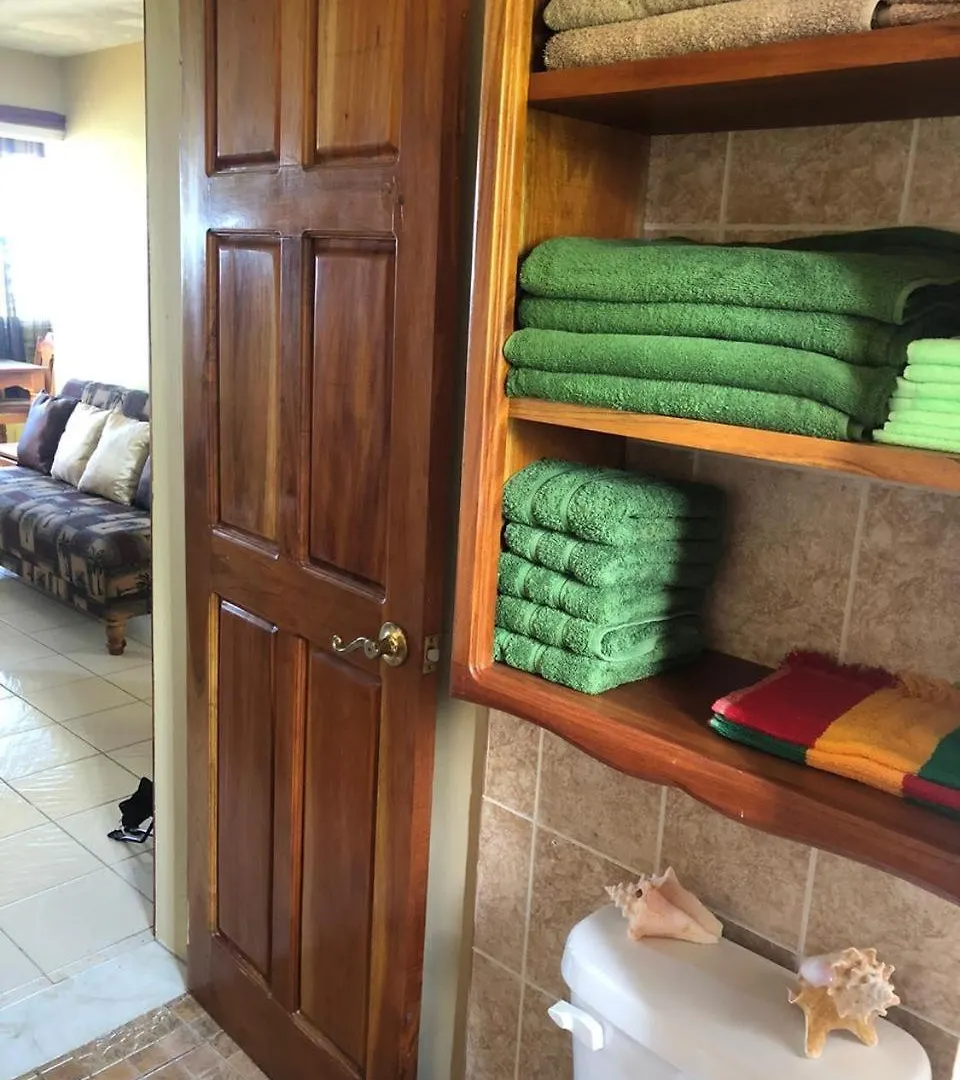 נגריל 1 Bed Condo Ocean View ג'מייקה